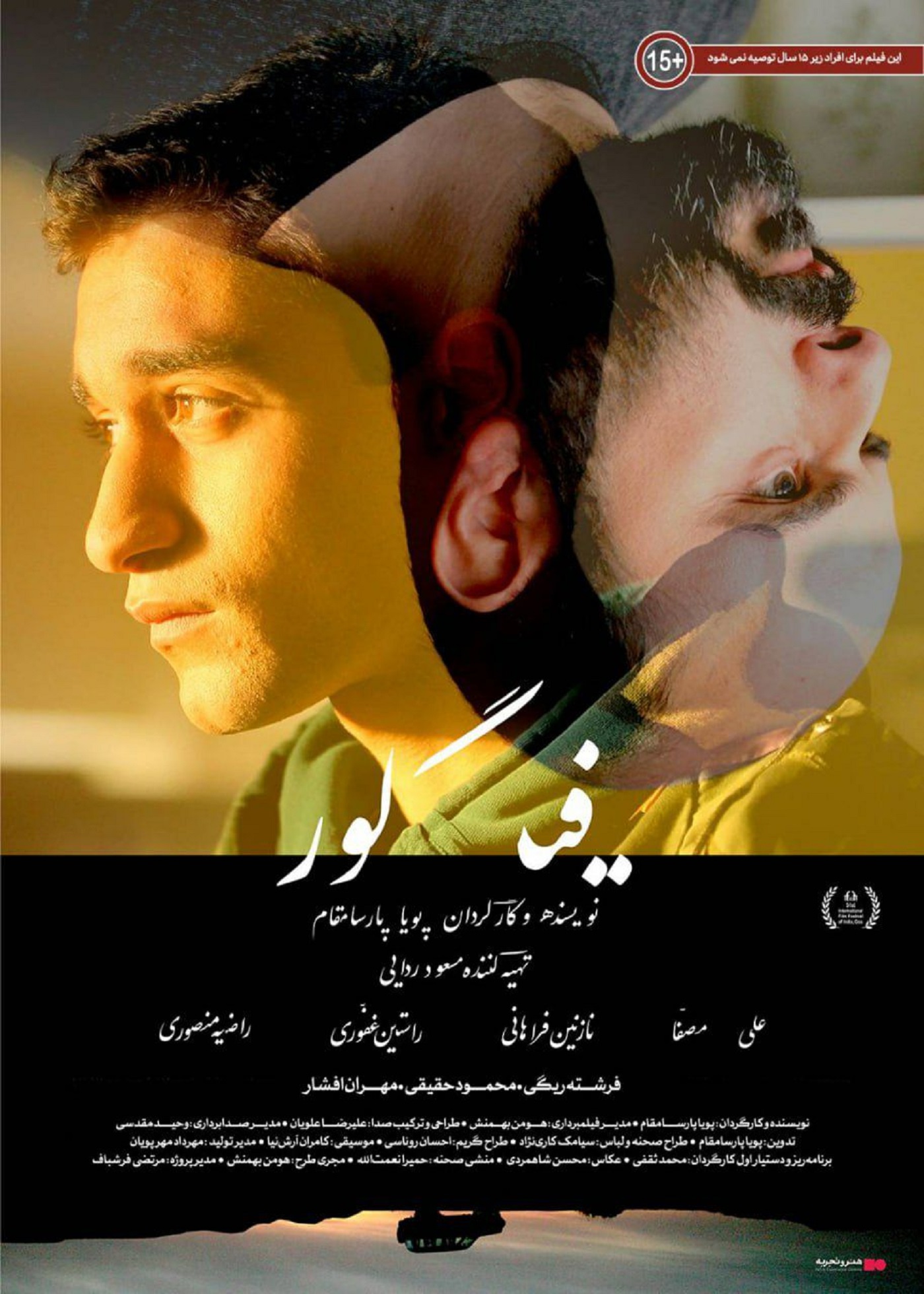 فیگور 