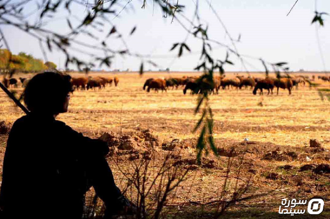 نگاهی به مستند «آواز گمشده» 